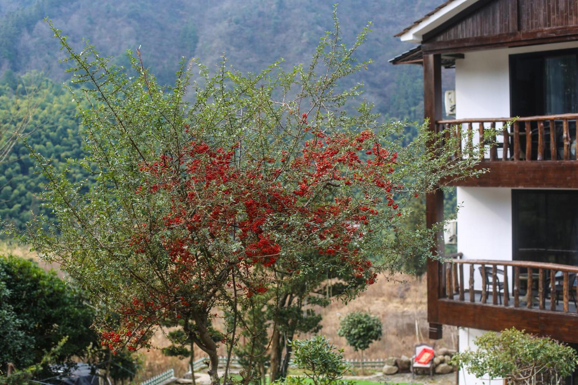 Zhangjiajie Mountainside Eksteriør billede
